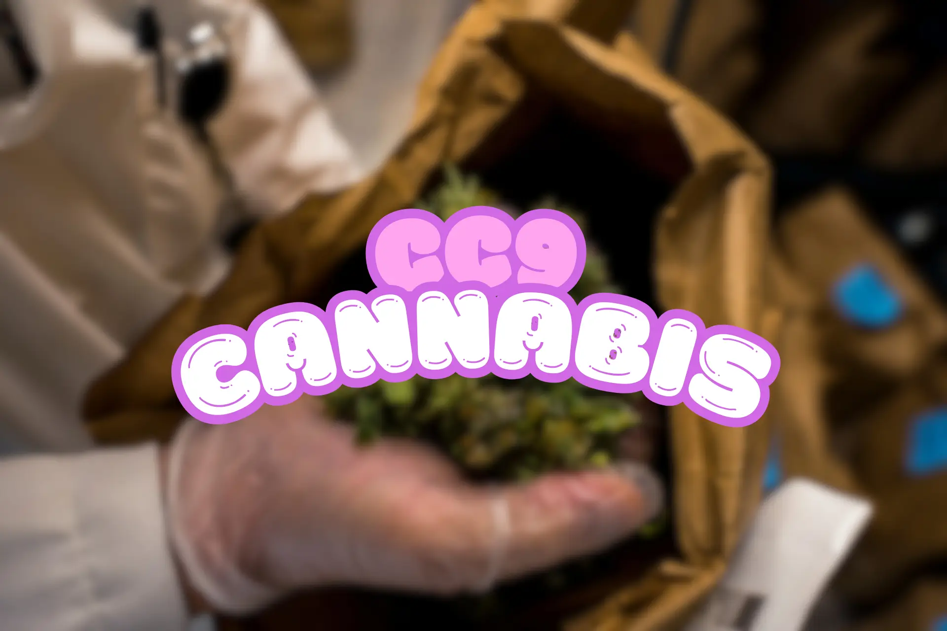 Närbild på en hand i handske som håller en påse med cannabisblommor, med texten 'CC9 Cannabis' överlagd i rosa och vita tecken.