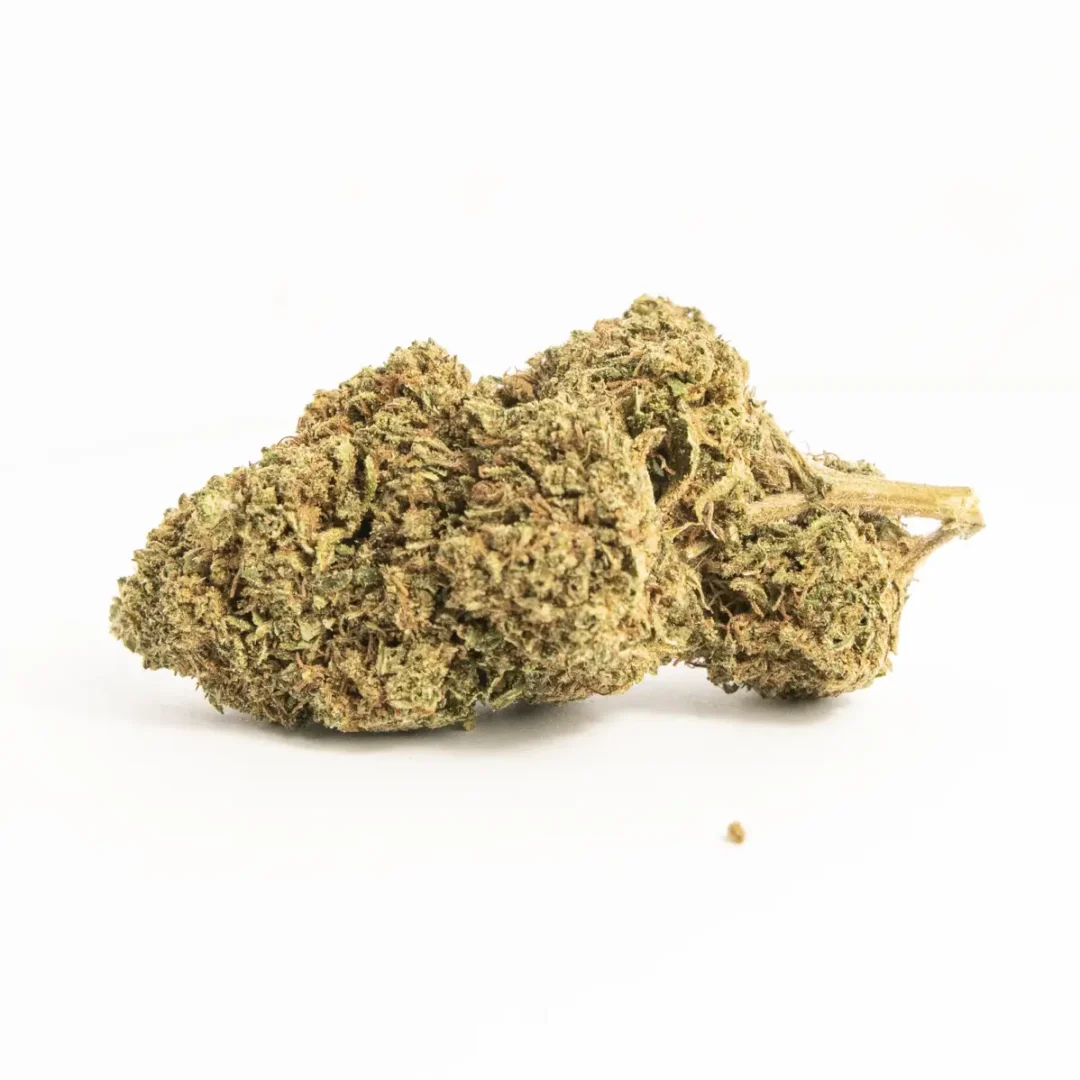 hlbudsGSC