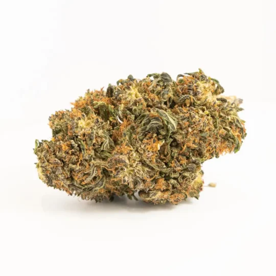 White Widow Sativa Buds